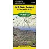 Salt River Canyon [Tonto National Forest]