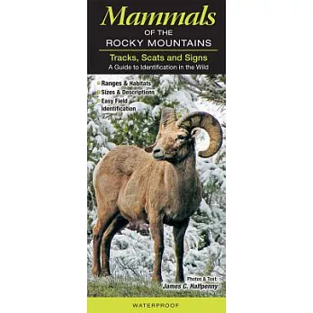 Tracks, Scats and Signs of Rocky Mountain Mammals: Common and Notable Species