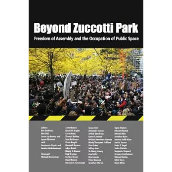 Beyond Zuccotti Park: Freedom of Assembly and the Occupation of Public Spaces