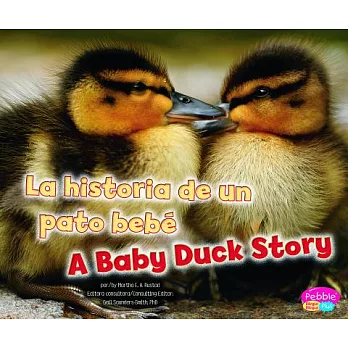 La historia de un pato bebe / A Baby Duck Story