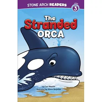 The Stranded Orca