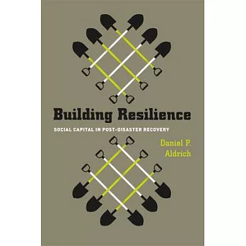 Building Resilience: Social Capital in Post-Disaster Recovery