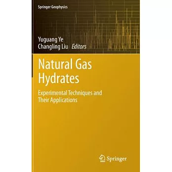 Natural Gas Hydrates: Experimental Techniques and Their Applications