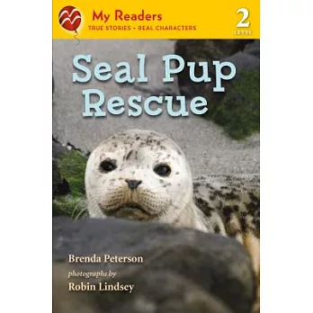 Seal pup rescue