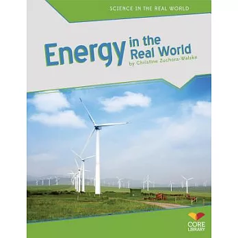 Energy in the real world