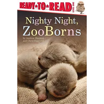 Nighty night, ZooBorns /