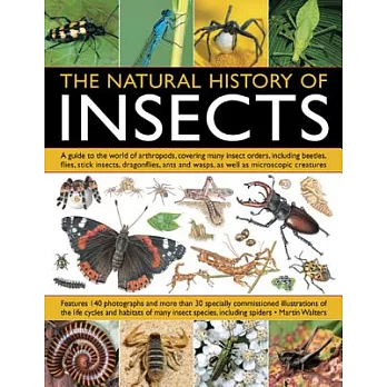 The Natural History of Insects: A guide to the world of arthropods, covering many insect orders, including beetles, flies, stick