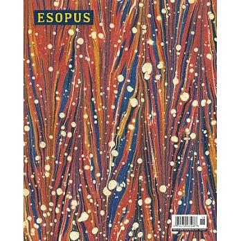 Esopus 20: Special Collections