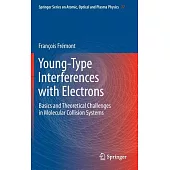 Young-Type Interferences With Electrons