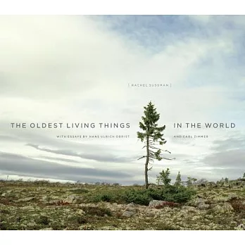 The Oldest Living Things in the World