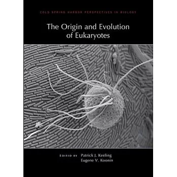 The Origin and Evolution of Eukaryotes