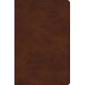 The Holy Bible: English Standard Version, Deep Brown Trutone Verse-by-Verse Reference Bible