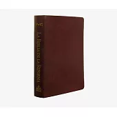 La Biblia de la Reforma / The Lutheran Study Bible: Reina Valera Contemporanea, Biblia De Estudio