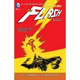 The Flash 4: Reverse