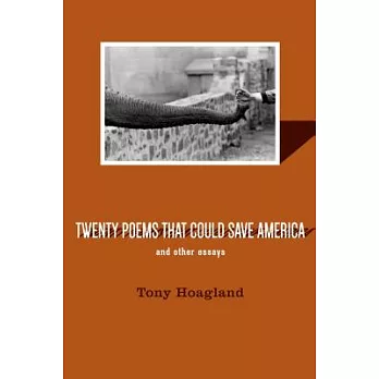 Twenty Poems That Could Save America and Other Essays