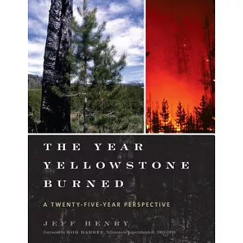 The Year Yellowstone Burned: A Twenty-Five Year Perspective