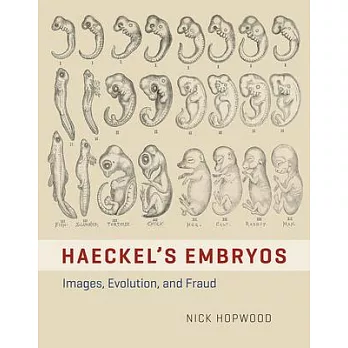 Haeckel’s Embryos: Images, Evolution, and Fraud