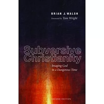 Subversive Christianity: Imaging God in a Dangerous Time