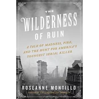 The Wilderness of Ruin: A Tale of Madness, Fire, and the Hunt for America’s Youngest Serial Killer