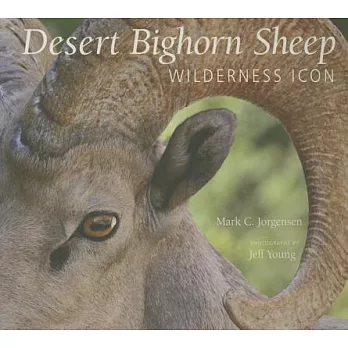 Desert Bighorn Sheep: Wilderness Icon