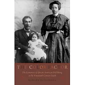 The Color Factor: The Economics of African-American Well-Being in the Nineteenth-Century South