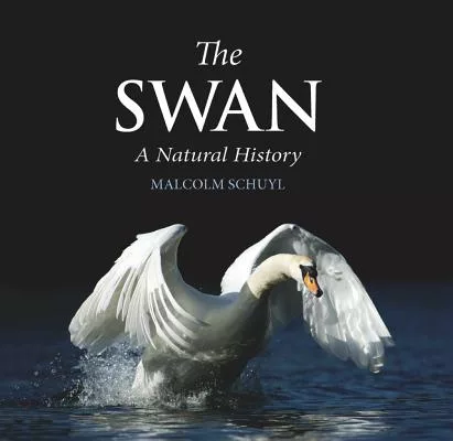 The Swan: A Natural History