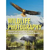 Wildlife Photography: Advanced Field Techniques for Tracking Elusive Animals and Capturing Magical Moments