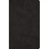 Men’s Devotional Bible: English Standard Version, TruTone, Black