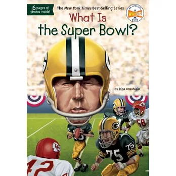 What is the Super Bowl?
