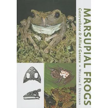 Marsupial Frogs: Gastrotheca& Allied Genera