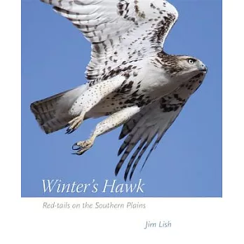 Winter’s Hawk: Red-Tails on the Southern Plains