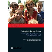 Being Fair, Faring Better: Promoting Equality of Opportunity for Marginalized Roma