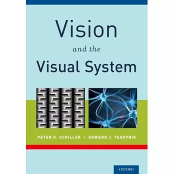 Vision and the Visual System