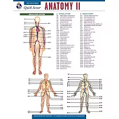 Anatomy II