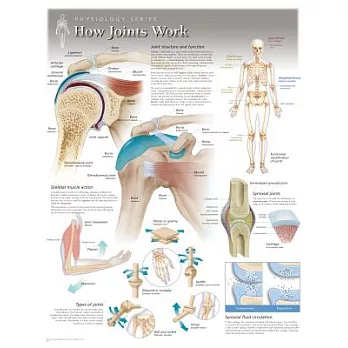 How Joints Work