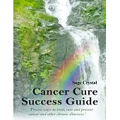 Cancer Cure Success Guide: Proven Ways to Treat, Cure and Prevent Cancer and Other Chronic Illness
