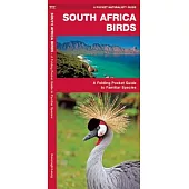 South Africa Birds: A Folding Pocket Guide to Familiar Species