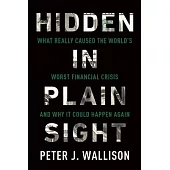 Hidden in Plain Sight: What Really Caused the World’s Worst Financial Crisis and Why It Could Happen Again