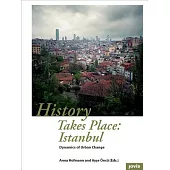 History Takes Place: Istanbul: Dynamics of Urban Change