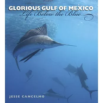 Glorious Gulf of Mexico: Life Below the Blue