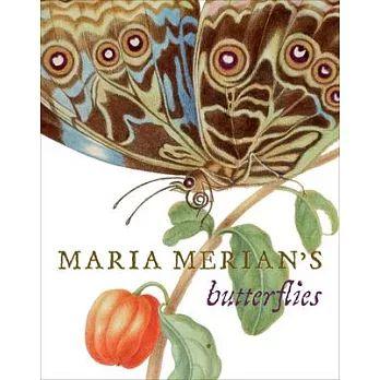 Maria Merian’s Butterflies