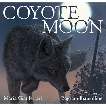Coyote moon