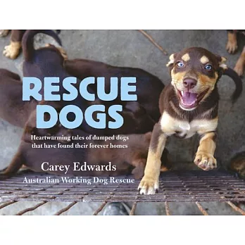 Rescue Dogs: Heartwarming Tales of Dumped Dogs That Have Found Their Forever Home
