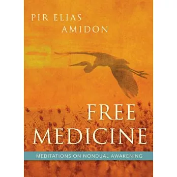 Free Medicine: Meditations on Nondual Awakening