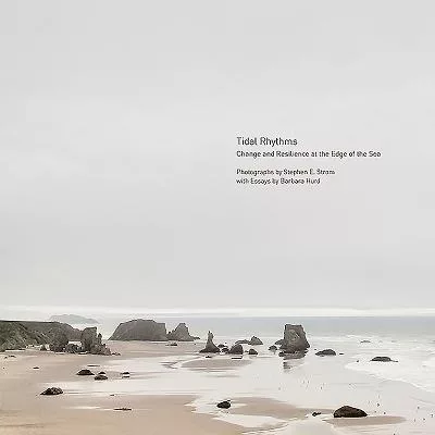 Tidal Rhythms: Change and Resilience at the Edge of the Sea
