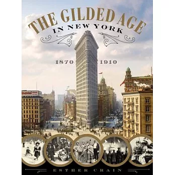 The Gilded Age in New York 1870-1910 /