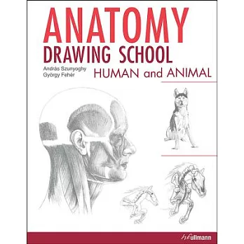Anatomy Drawing School: Human and Animal