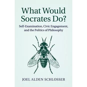 What Would Socrates Do?