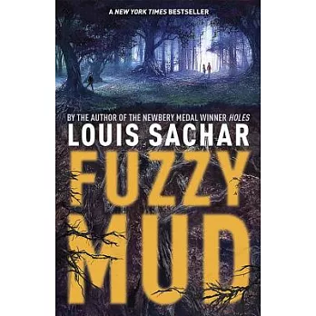 Fuzzy mud /