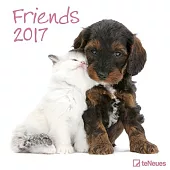 Friends 2017 Calendar
